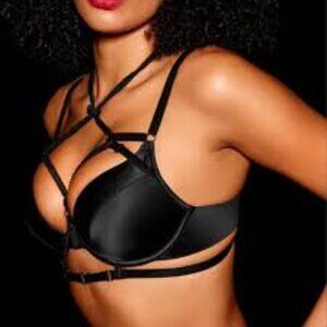 Honey Birdette Shibari Bra and Panty Set- Sold Out- 32B and XS- New With Tags